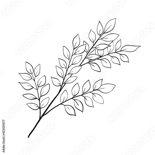 Tree branch outline floral sketch isolated vector
