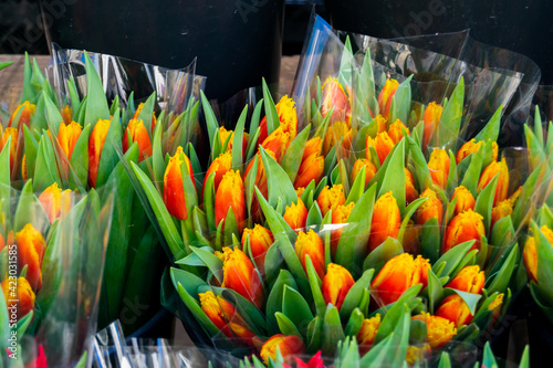 Many colorful tulips sold in bouquetes at local market in UK, flowers in plastic wrapping at florists market stand display, flowers perfect for a gift for any woman photo