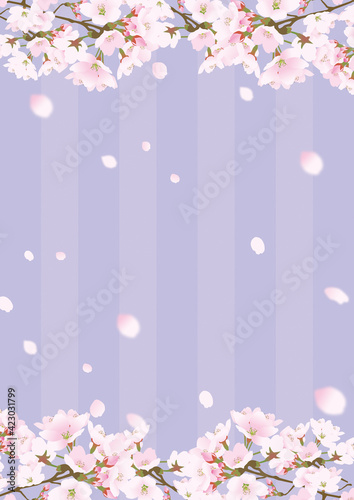 桜上下の縦縦じまのフレームと散る桜の花びら紫