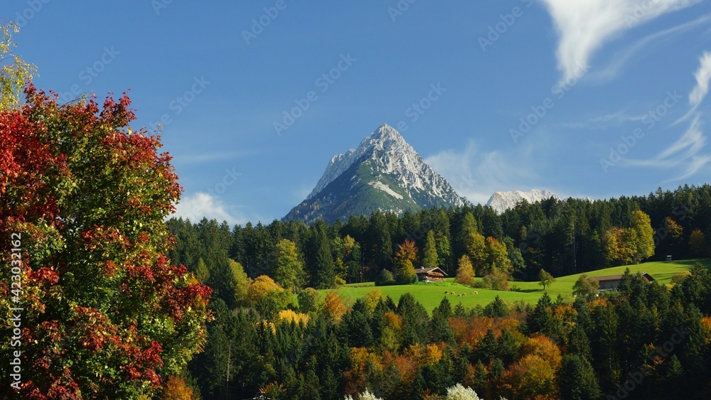 Fototapeta premium autumn in the mountains