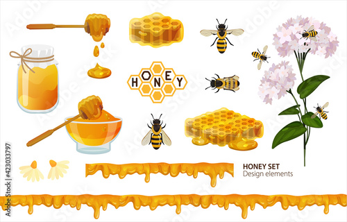 Honey set. Design elements with bees, honeycomb, wooden spoon, logo, jar with liquid honey and seamless border dripping, flowering plants of buckwheat and chamomile with honeybee. Vector illustration