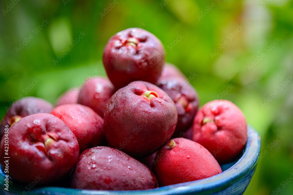 Jambo fruit typical of the northeastern region of Brazil, in a blue clay bowl on a blurred green background.