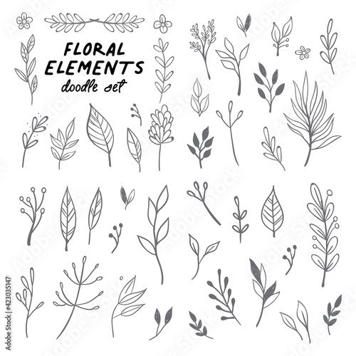 Floral doodle design elements. Hand drawn decorative leaves and wreaths. Flower ornament dividers. Tree branches with leaf and flowers.