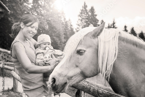 Mom with her daughter having fun at farm ranch and meeting a horse  - Pet therapy concept in countryside with horse in the educational farm - Horse therapy concept with children - Black and white photo