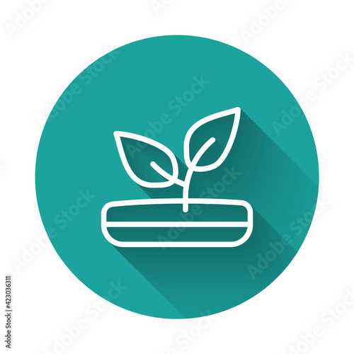 White line Sprout icon isolated with long shadow background. Seed and seedling. Leaves sign. Leaf nature. Green circle button. Vector © vector_v