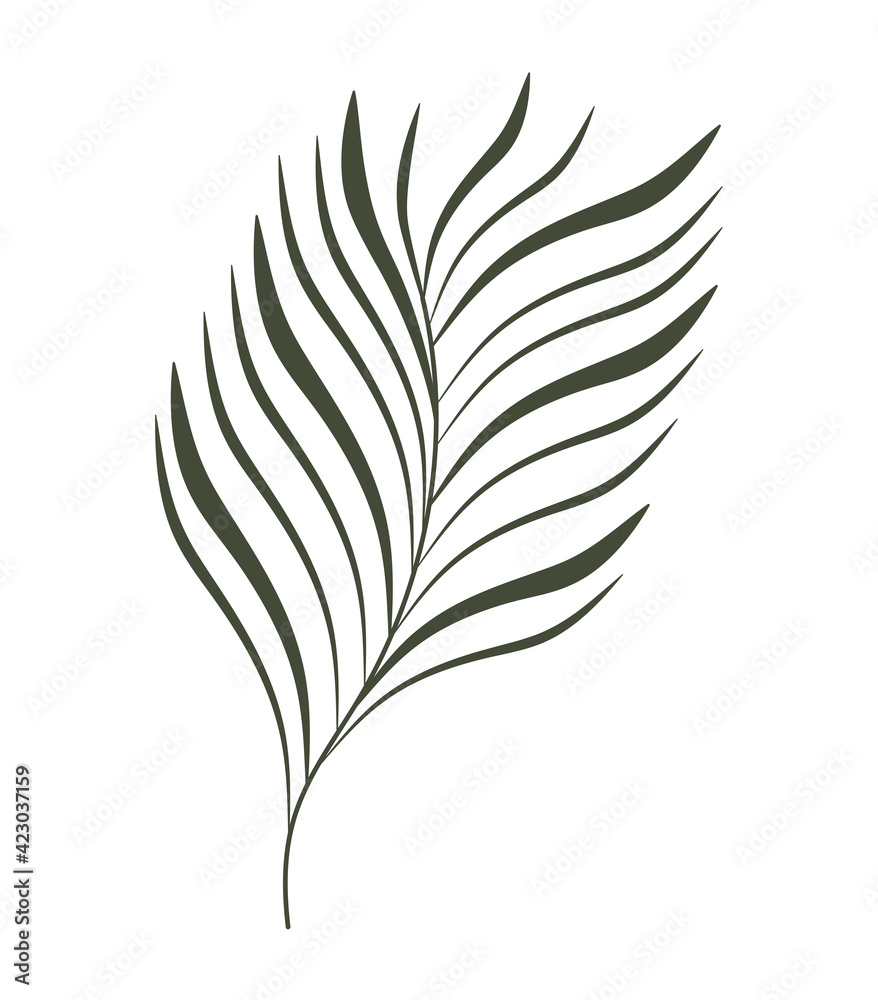 beautiful plant illustration beautiful plant illustration