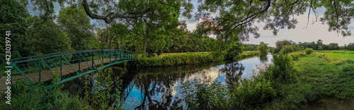 bridge in the forest