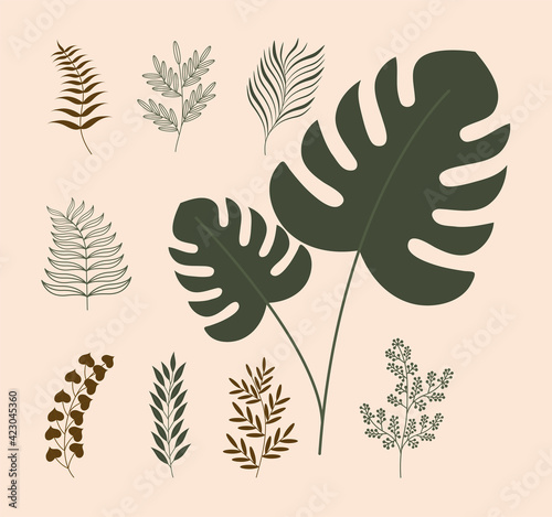 aesthetic plants group