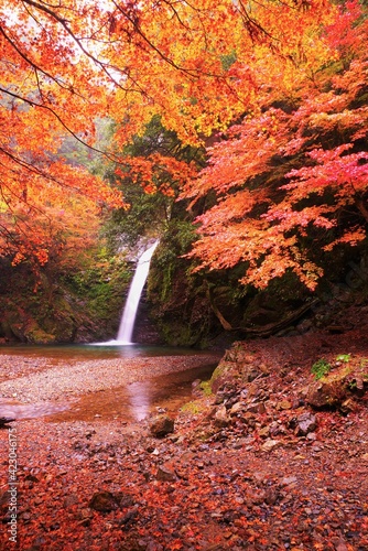 秋の横谷峡・白滝の紅葉