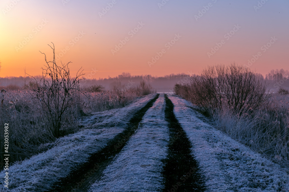 Wiosenny poranek nad stawami, Podlasie, Polska Wiosenny poranek nad stawami, Podlasie, Polska
