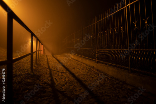 Fototapeta Naklejka Na Ścianę i Meble -  Prague streets in fogy night with lights
