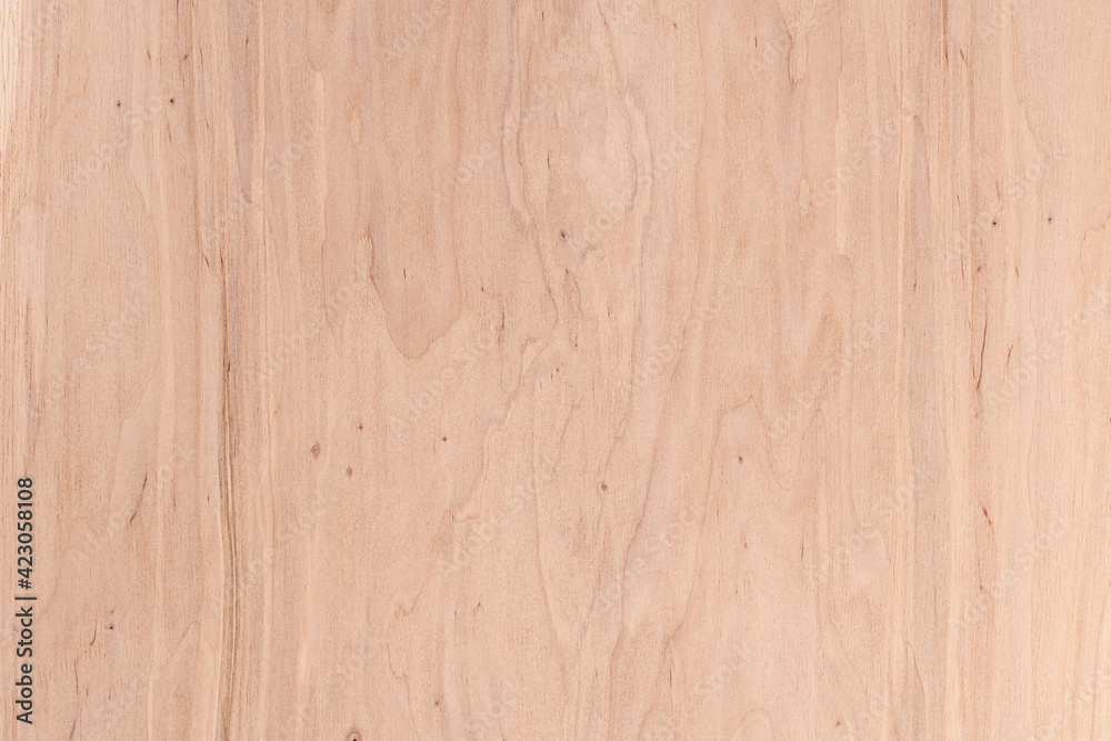 Wood texture. Wood background with natural pattern for design and decoration. Wood texture. Wood background with natural pattern for design and decoration.