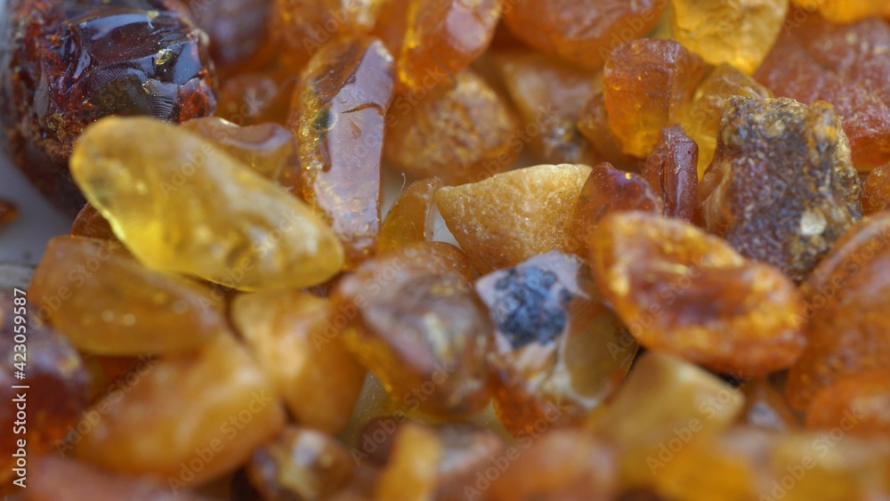Amber Stones Collection Macro Close-up Amber Stones Collection Macro Close-up