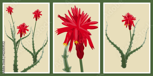 Aloe flowers. For wall art, poster, wallpaper, print. 