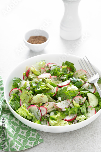 Salad bowl of fresh vegetables with radish, cucumber, romaine lettuce, bell pepper and greens. Healthy food