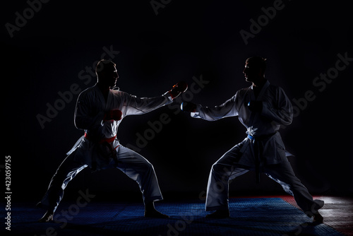 Martial arts master on fight training in gym © qunica.com
