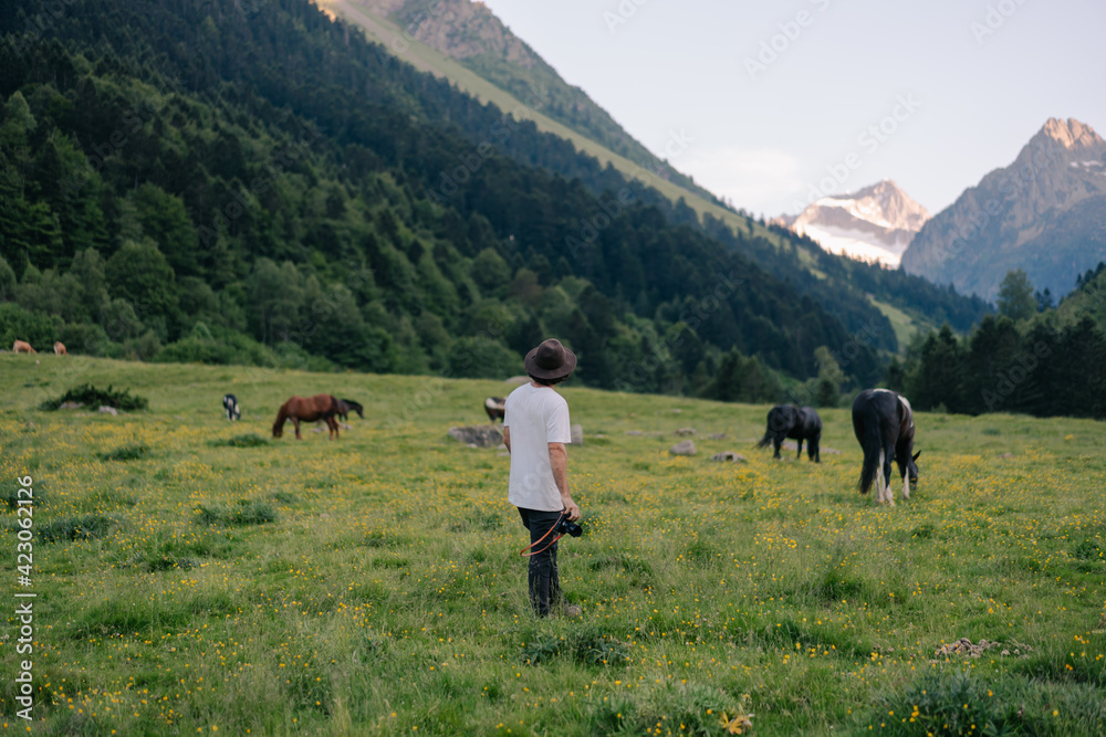 Back view of unrecognizable young male traveler in casual clothes and hat with photo camera in hand standing on grassy meadow near pasturing horses during trip in alpine countryside Back view of unrecognizable young male traveler in casual clothes and hat with photo camera in hand standing on grassy meadow near pasturing horses during trip in alpine countryside