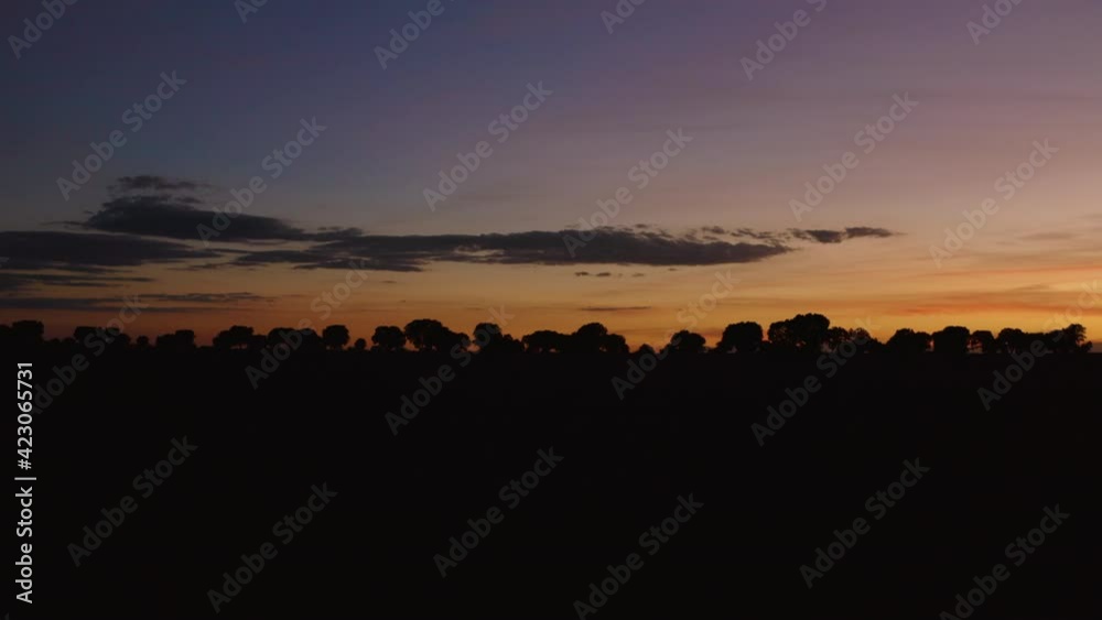Silueta de arboles con dron en el atardecer Silueta de arboles con dron en el atardecer