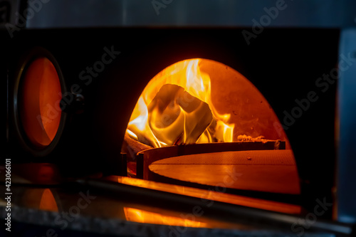 Burning fire in the pizza oven © milanchikov