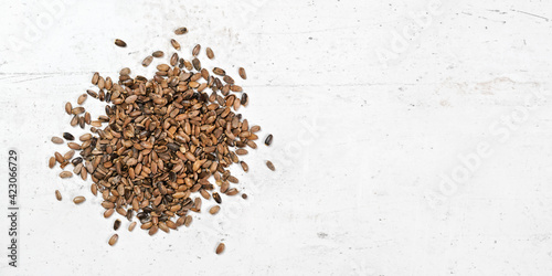 Blessed milk thistle seeds - Silybum marianum on white stone like board, view from above, space for text right side