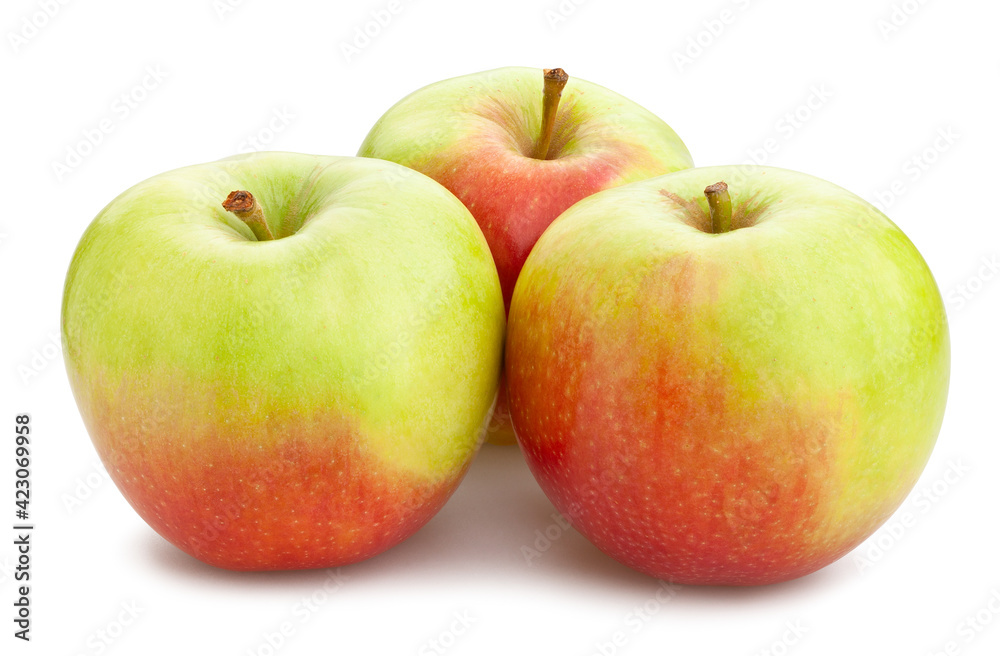 red green apple path isolated on white red green apple path isolated on white