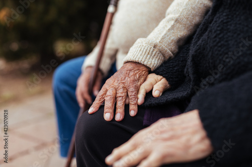 Crop of anonymous elderly couple holding hands while sitting on a park bench photo