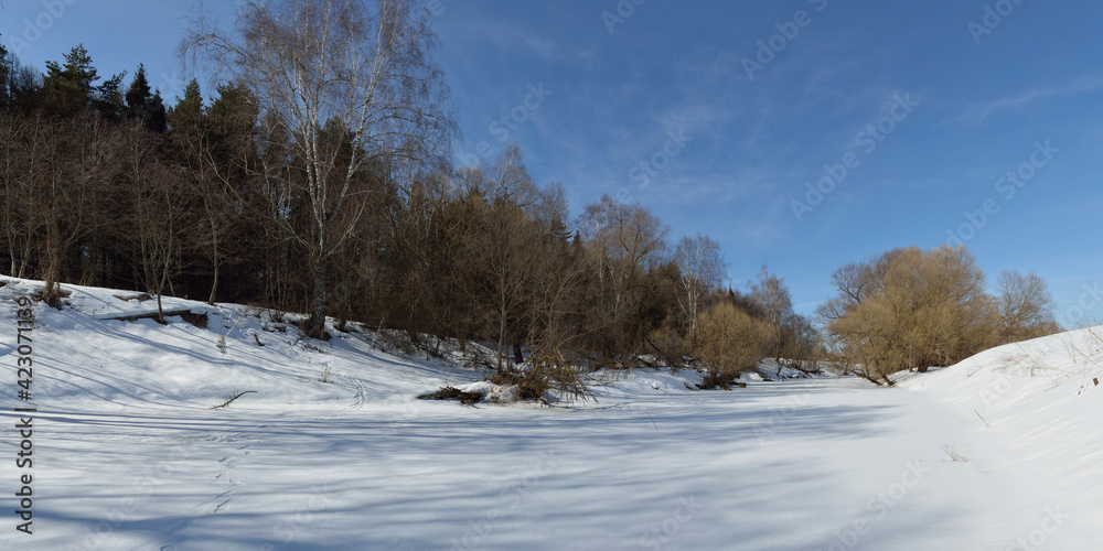 Spring walk through the forest, beautiful panorama.