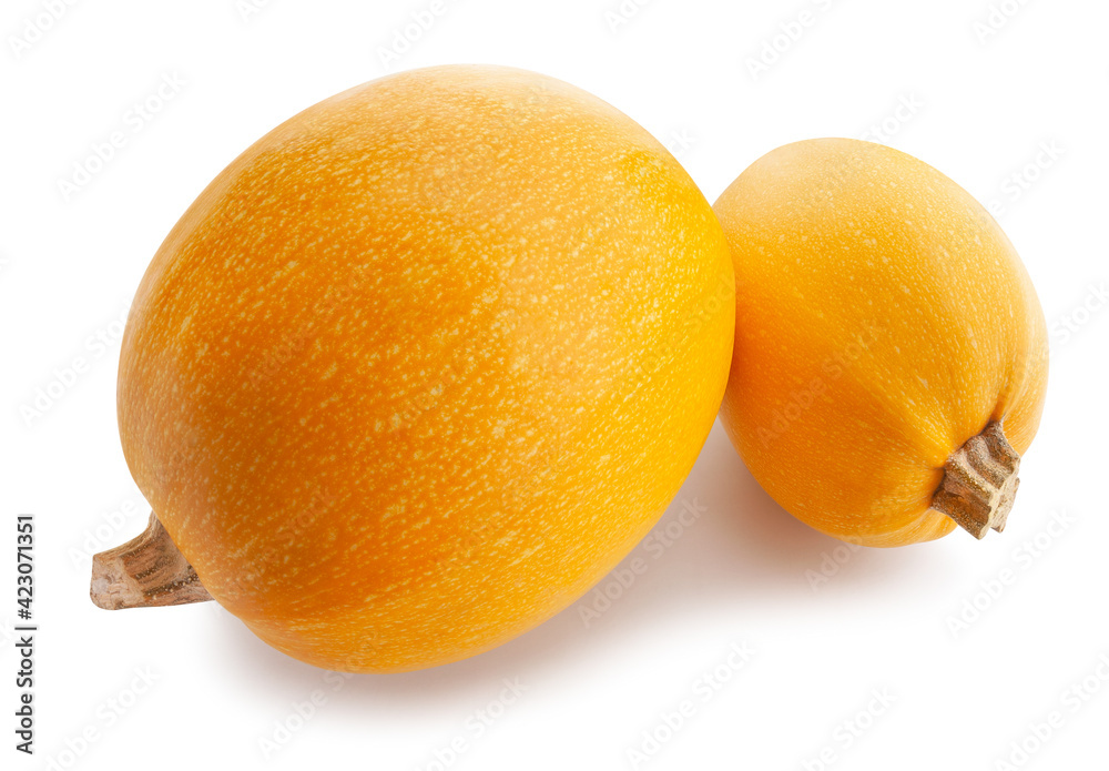 spaghetti squash path isolated on white spaghetti squash path isolated on white