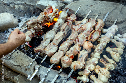 Man's hand twirls barbecue on skewers of chicken legs and pork. Picnic in nature cooking on coals after fire