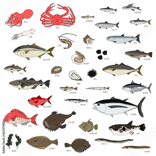 魚のイラストセット-名称入り（カタカナ）