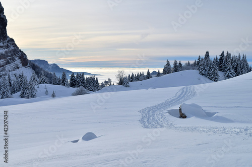 Le plateau de l'Alpette au-dessus du Col de l'Alpette