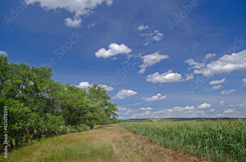 Oak Grove