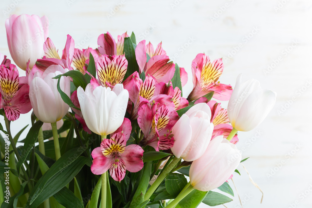 Obraz premium Pink Alstroemeria and tulips against white background