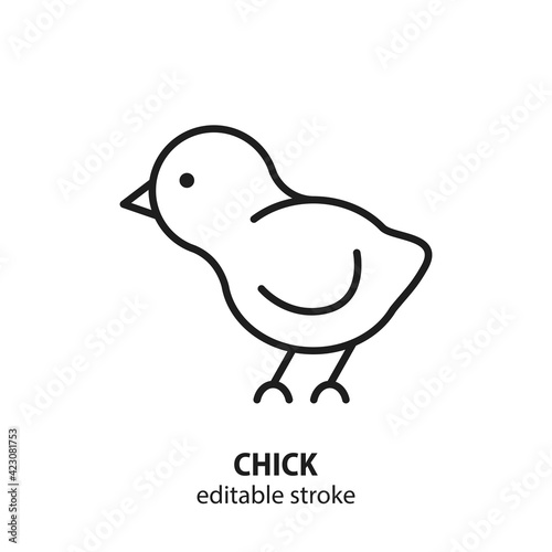 Photo Chick vector flat line icon. Editable stroke.