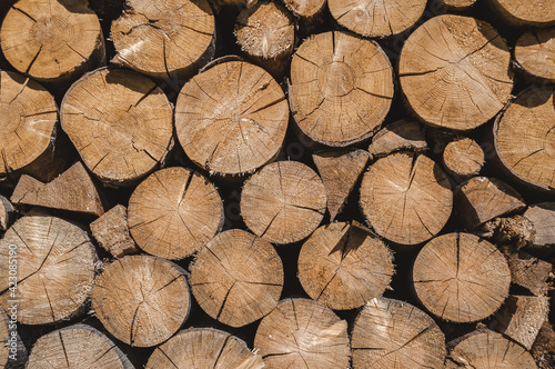 Stacked timber wood logs, firewood background pattern 
