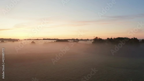 Tall Trees Peeping Out from the Fog on the Djursland Coastline at Sunrise photo