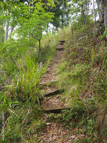 Natures path, hidden path 