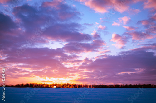Pink sunset in winter and snowy meadow.