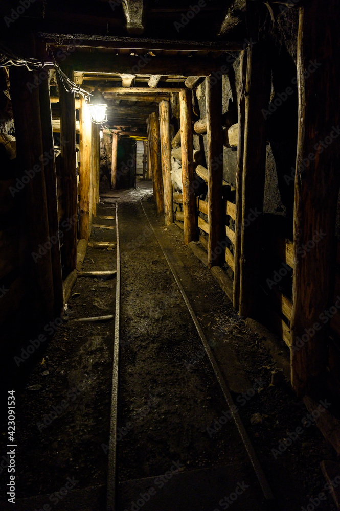 Fototapeta premium Mining corridors in a mine for hard coal mining.