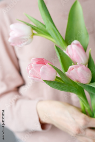 Fototapeta Naklejka Na Ścianę i Meble -  pink tulips with green leaves in a glass vase, a woman holding tulips in her hands, florist, floristry, mother's day gift, bouquet for March 8, bouquet for a girl on her birthday, bouquet of tulips
