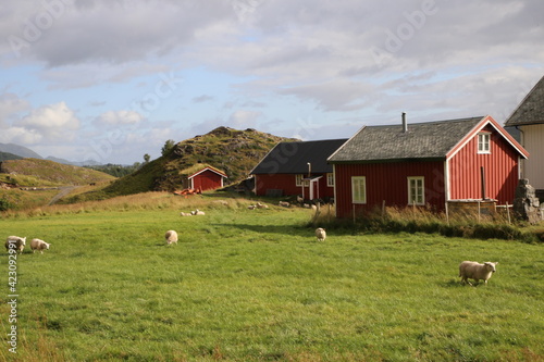  Les iles Lofoten Norvège