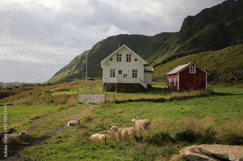 Les iles Lofoten Norvège