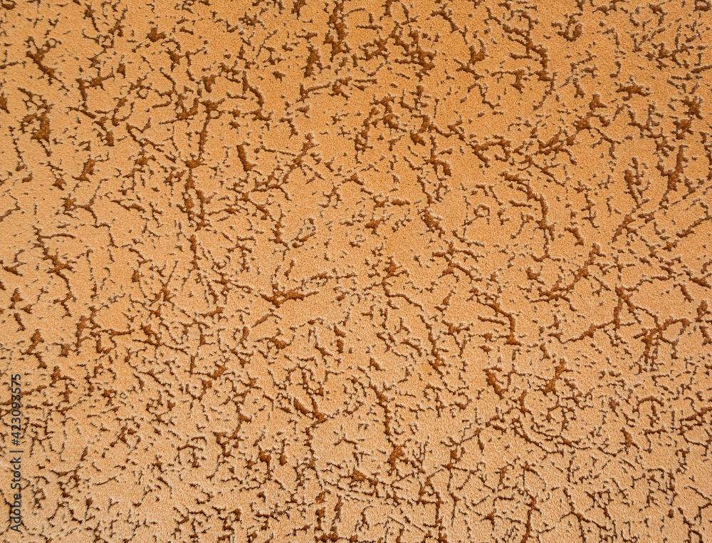 Obraz premium texture of the stone