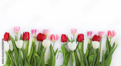 A bouquet of red and white tulips on a white background.