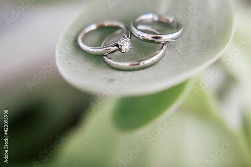 wedding rings on a flower