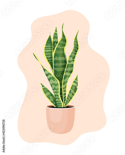 Indoor plant sansevieria in a pot for home, office, premises decor. Illustration isolated on white background. Trendy home decor with plants, urban jungle. Pike tail.