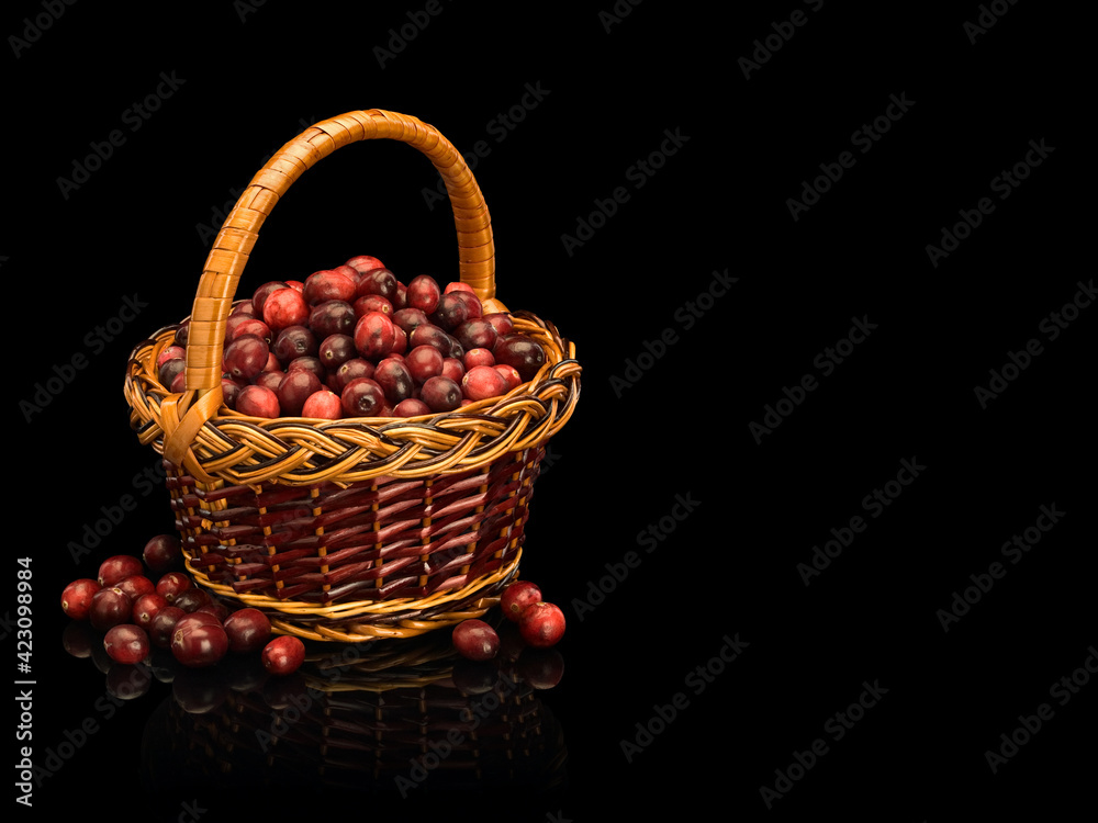 Wattles basket from rod filled with cranberry berries Wattles basket from rod filled with cranberry berries