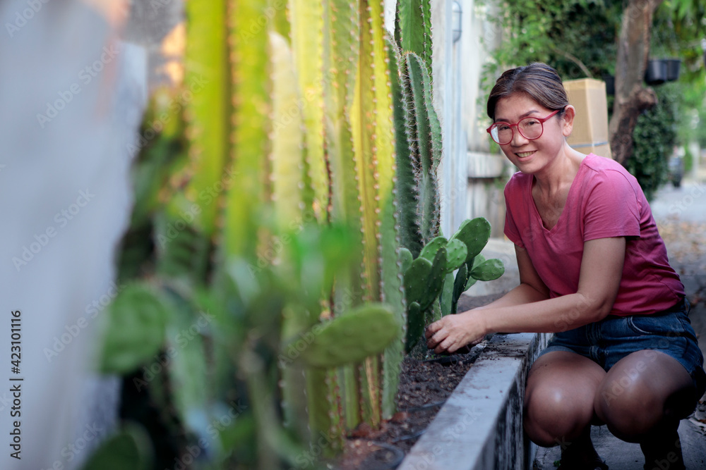 Obraz premium asian woman planting cactus at home fence