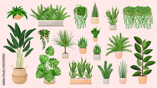 Set of houseplants in a pots for home, office, premises decor. Colorful vector collection of illustrations isolated on pink background. Trendy home decor with plants, urban jungle.  