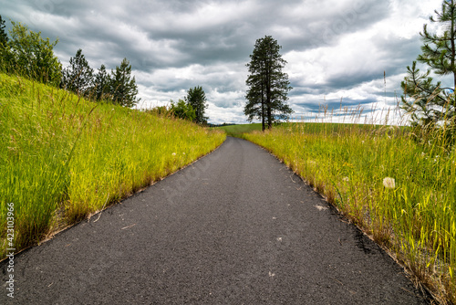 Vászonkép Bicycling Trail in Idaho, USA